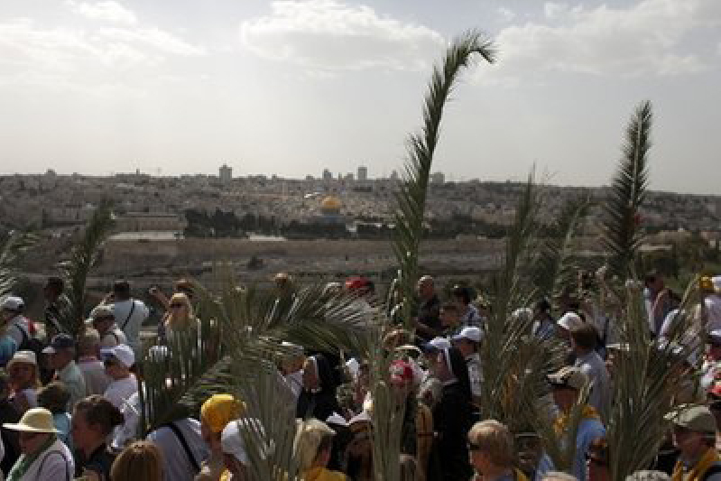 palm-sunday.jpg