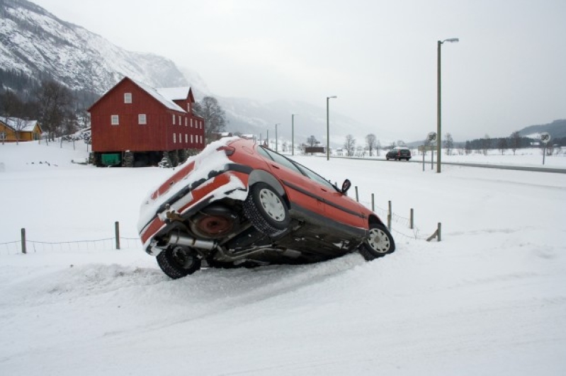 Norway Dwarf