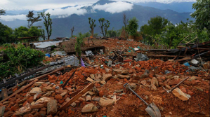 Nepal Earthquake