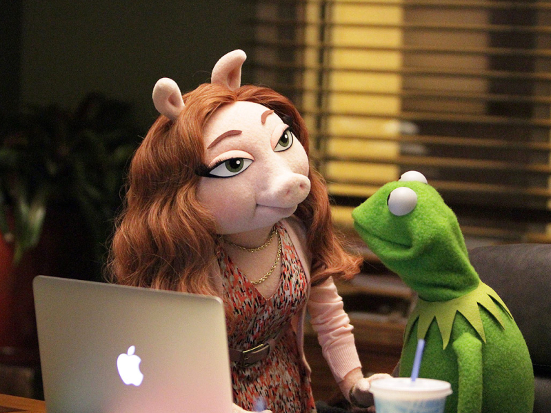 Kermit's new girlfriend Denise