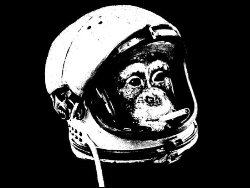 Space Monkey