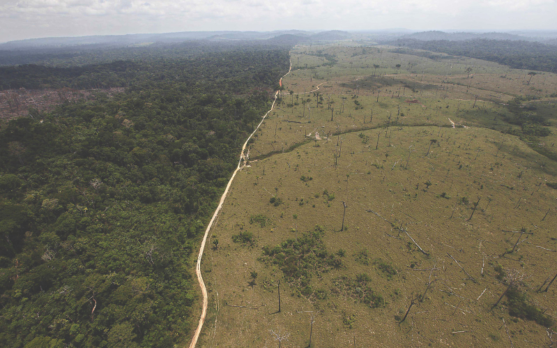 Amazon Deforestation