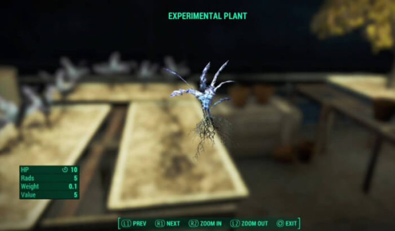 Fallout and Skyrim Plant