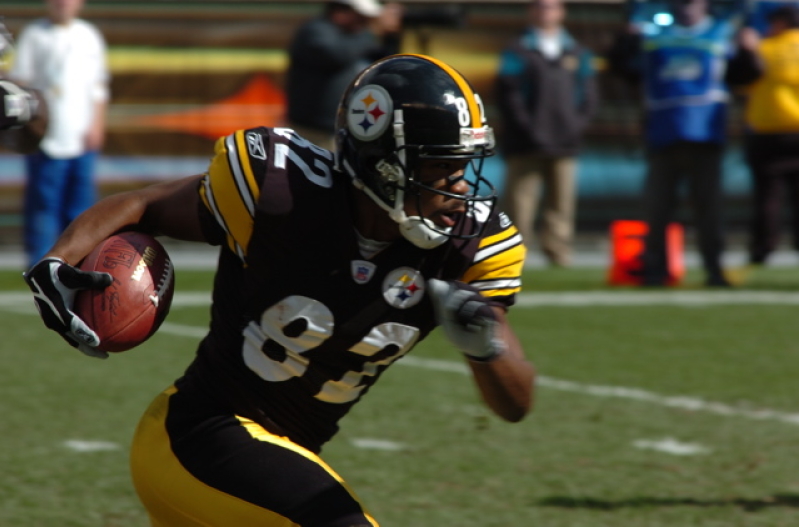 Antwaan Randle El 