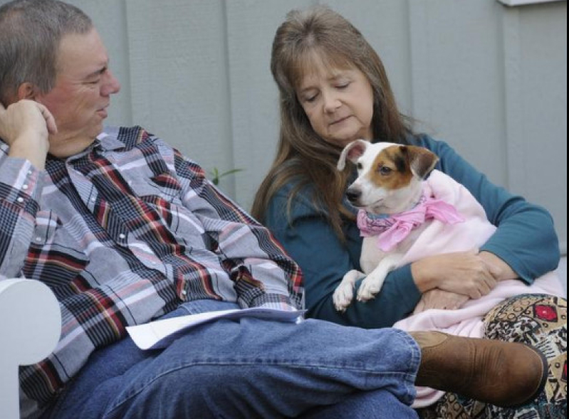 Blessing of the Animals at Christ Episcopal Church in Albertville. 