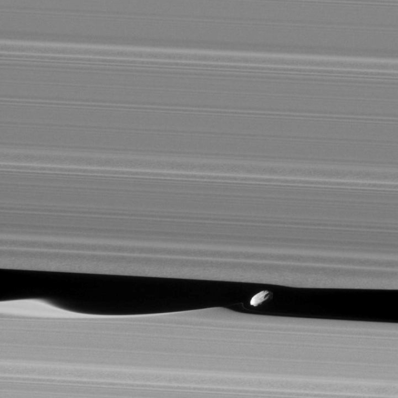 Saturn Daphnis Wavemaker moon