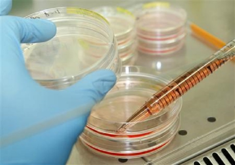 Stem Cell Research