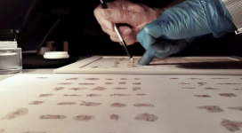 Approximately 25,000 scroll fragments