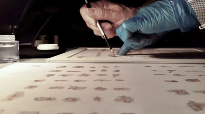 Approximately 25,000 scroll fragments