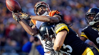 Pittsburgh Steelers vs. Cincinnati Bengals Live Streaming Free: Watch and Listen NFL 2013 Week 2 Online, TV Schedule, Radio