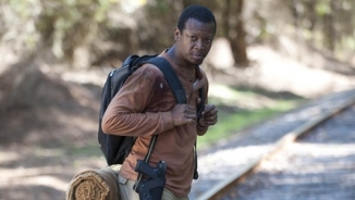 Watch ABC Walking Dead Season 4 Episode 13 'Alone' Online, Live Stream Free (Video)