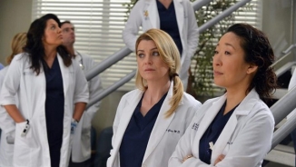 Grey's Anatomy Season 10 Episode 16 Recap: April Accused of Being a Gold Digger by Jackson's Mom Catherine (Watch Online Video) 