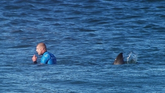 4 Reasons World Surfing Champ Mick Fanning Survived the Shark Attack (Video)