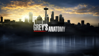 Grey’s Anatomy Season 12 Episode 5 Spoilers, Recap: Meredith Meets Familiar Face involved In Dereck's Death