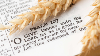 Thanksgiving 2015 Bible Verses for Your Cards: Ten Best Scriptures of Gratitude and Praise