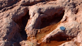 Huge Dinosaur Footprints Discovered In Scotland; Findings Shed Light about Mysterious Middle Jurassic Era