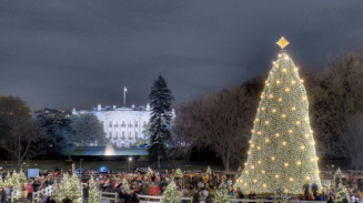 National Christmas Tree Lighting 2015 Live Stream Free: How to Watch Online, Souvenir Ornament