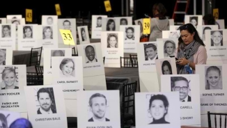 The 22nd Screen Actors Guild Awards Live Stream: Watch 2016 SAG Awards Online, Red Carpets, Nominees and Winner Predictions