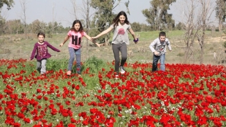 God Paints Barren Negev Desert Luscious Red in Israel