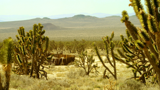 God, Jesus Can Be Witnessed in Wild California Deserts Now Preserved for First Time