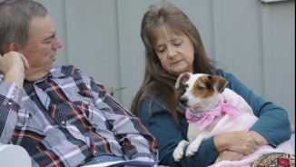 Churches Participate In Animal Blessing