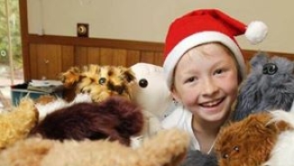 12 Y/O Boy Spends Pocket Money for Supplies, Sews Hundreds of Teddy Bears for Sick Children 