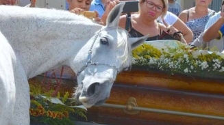 Grieving Horse Smells Casket, Displays Sorrowful Goodbye at Cowboy Owner's Funeral  