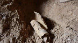 12th Dead Sea Scrolls' Cave Found in Israel, 'Best Discovery in 60 Years'