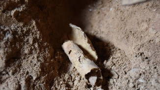 12th Dead Sea Scrolls' Cave Found in Israel, 'Best Discovery in 60 Years'