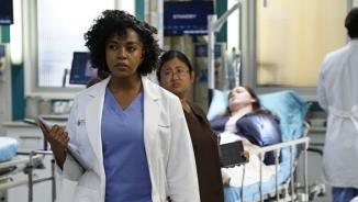 'Grey's Anatomy' Season 13 Recap: Another Doctor Bid Farewell in Season Finale as ABC Orders 'Grey's Anatomy' Spinoff