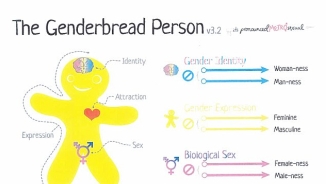 Christian Parent Outraged After School Gives 11 Y/O Son Graphic Packet on Transgender Surgeries 